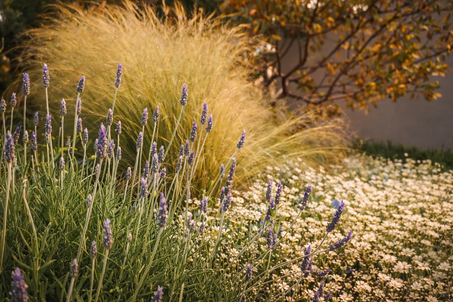 Jardín mediterráneo con lavanda y gramíneas — Finca Lupiana